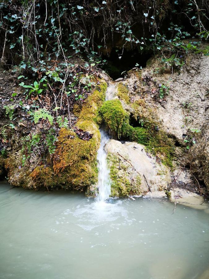 Eco Camp Supot Hotel Smarje  ภายนอก รูปภาพ